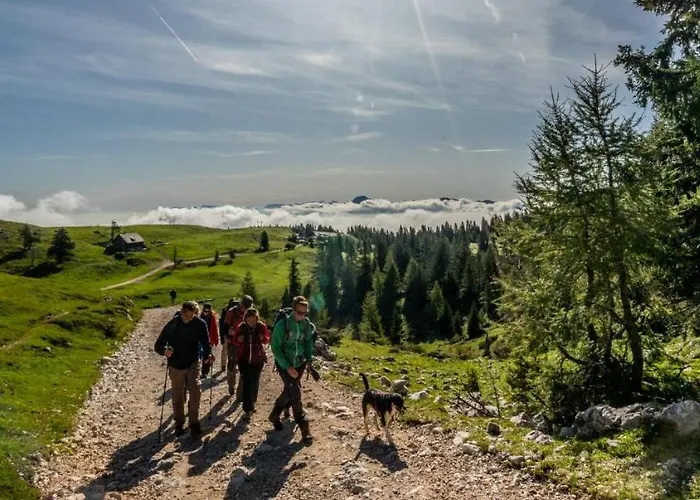Naturel Hoteldorf Schoenleitn Kompleks wypoczynkowy