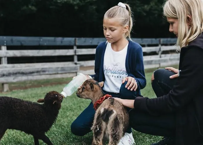 Kompleks wypoczynkowy Naturel Hoteldorf Schoenleitn